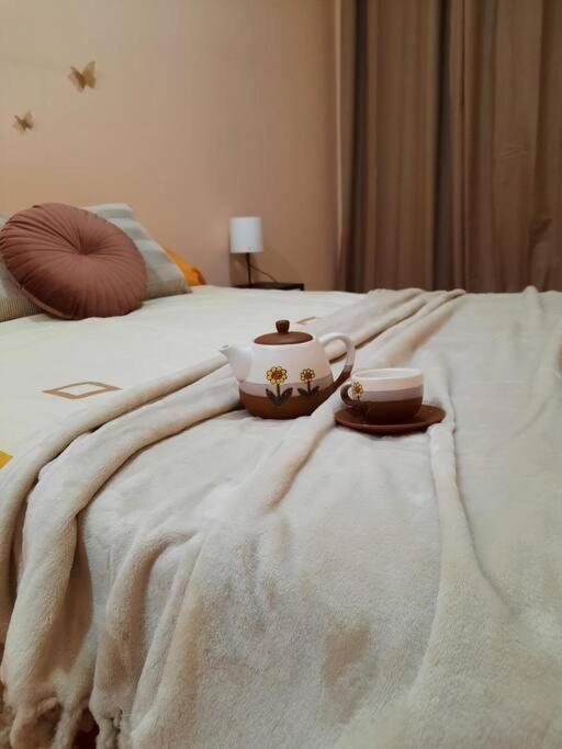 Bem Acogedora Y Muy Centrica Daire Zamora Dış mekan fotoğraf