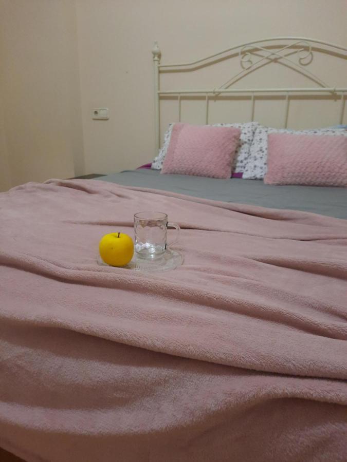 Bem Acogedora Y Muy Centrica Daire Zamora Dış mekan fotoğraf